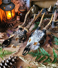 Load image into Gallery viewer, Sublimated Herbal Pentacle Skulls