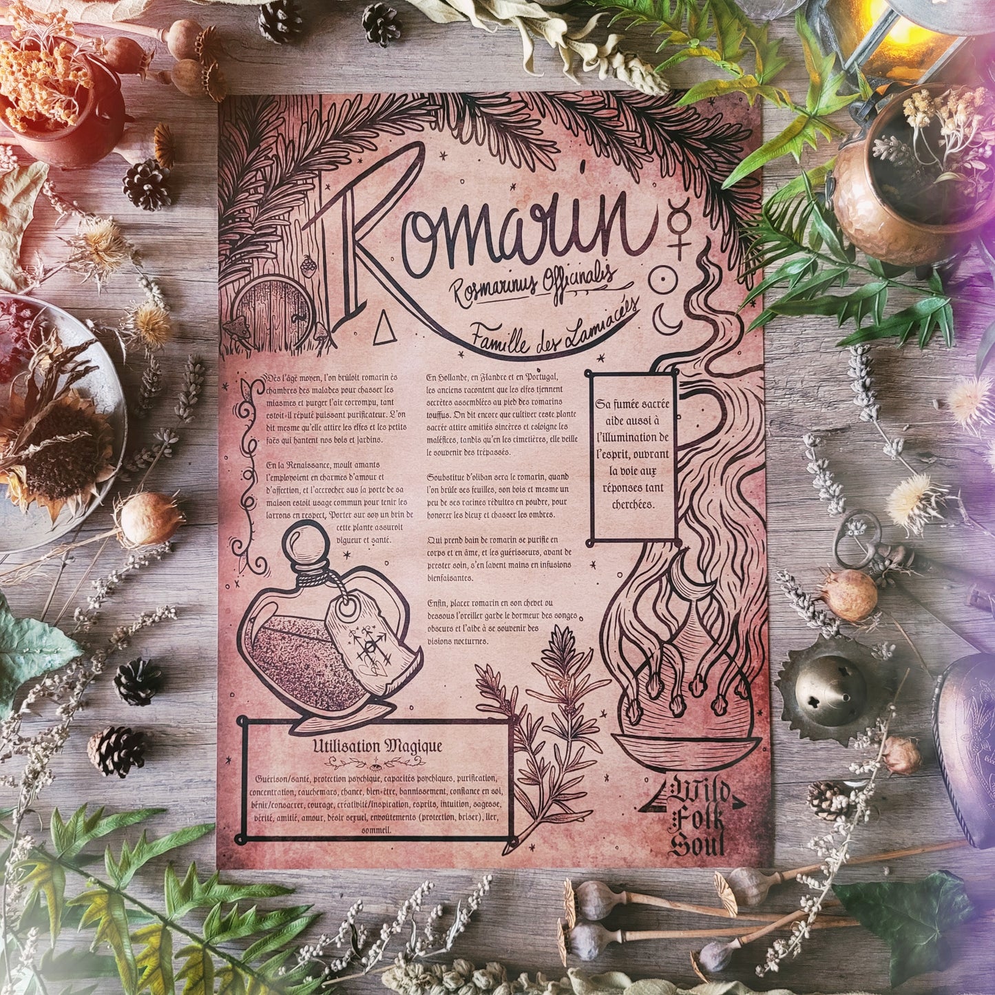 Box de Magie Botanique - La Box Rituel en Cuisine