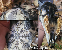 Load image into Gallery viewer, Sublimated Herbal Pentacle Skulls