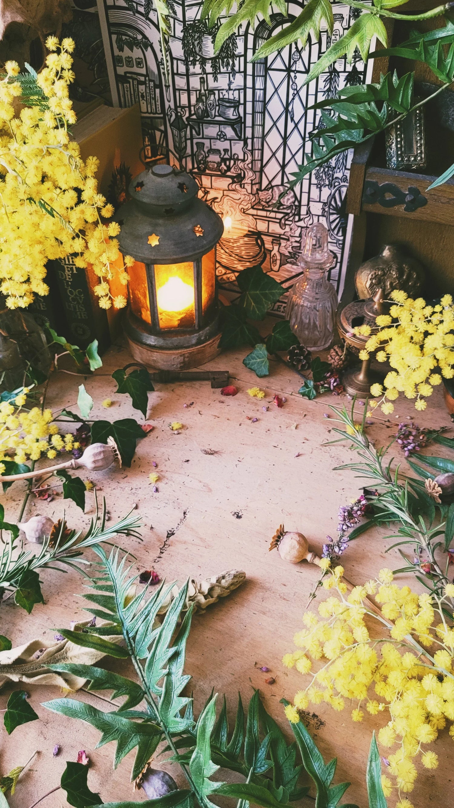 La Collection d'Ostara