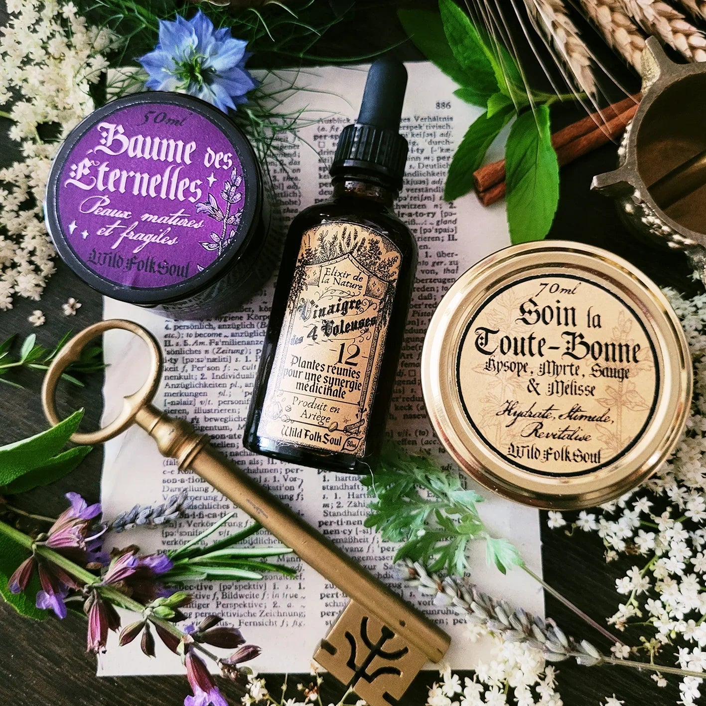 Dernière chance de nous adopter !