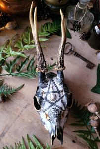 Sublimated Herbal Pentacle Skulls