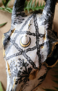 Sublimated Herbal Pentacle Skulls