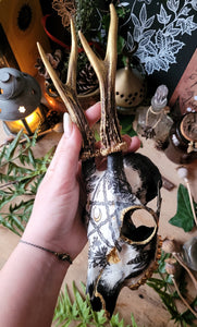 Sublimated Herbal Pentacle Skulls