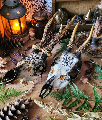 Crânes Sublimés Fylgja Antlers