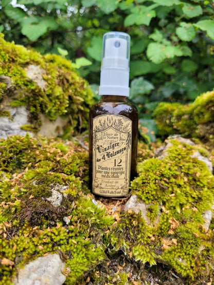 Vinegar of the 4 thieves