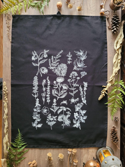 Mystery Box of Plant Magic