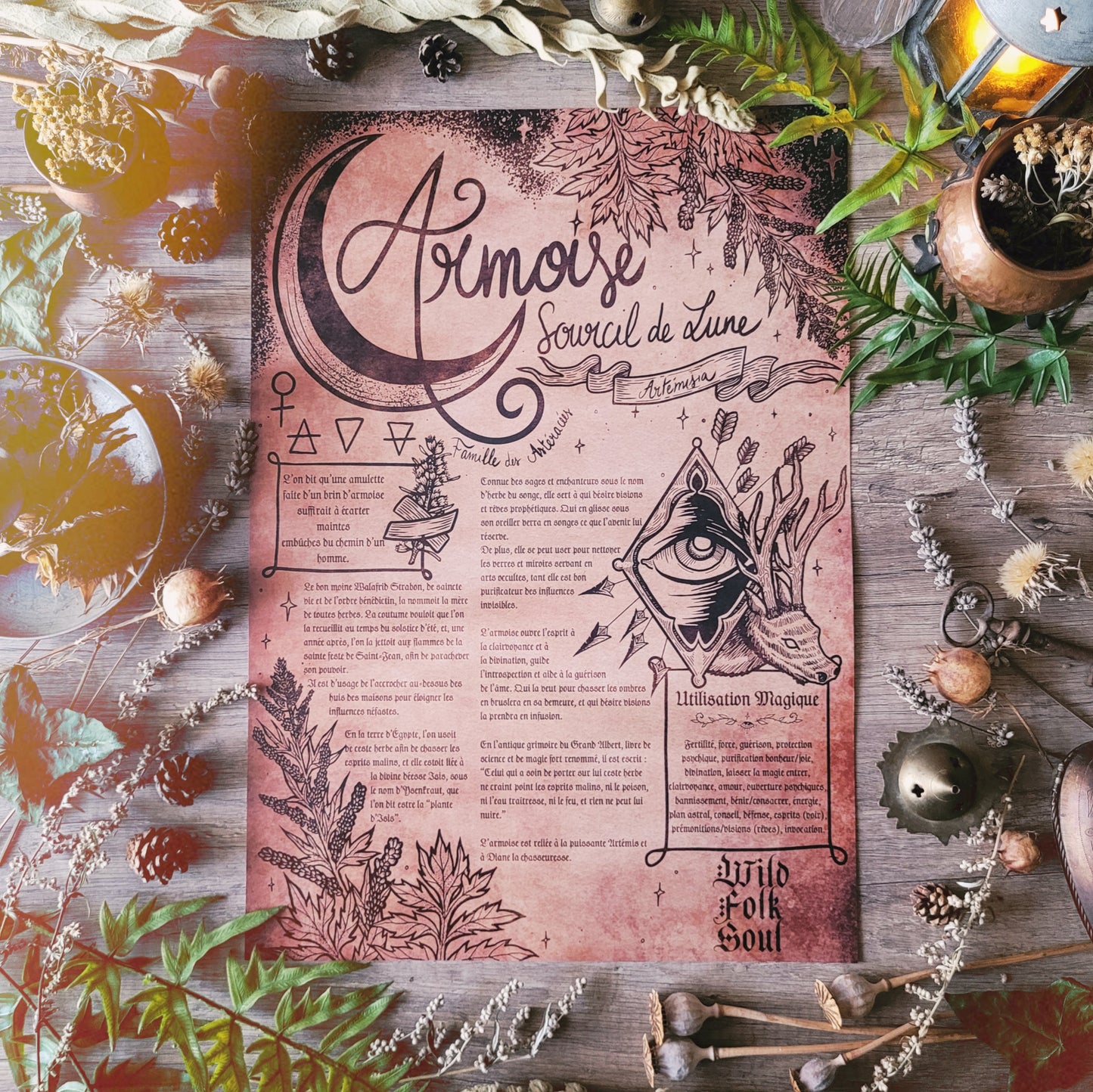 Box de Magie Botanique - La Box Rituel en Cuisine