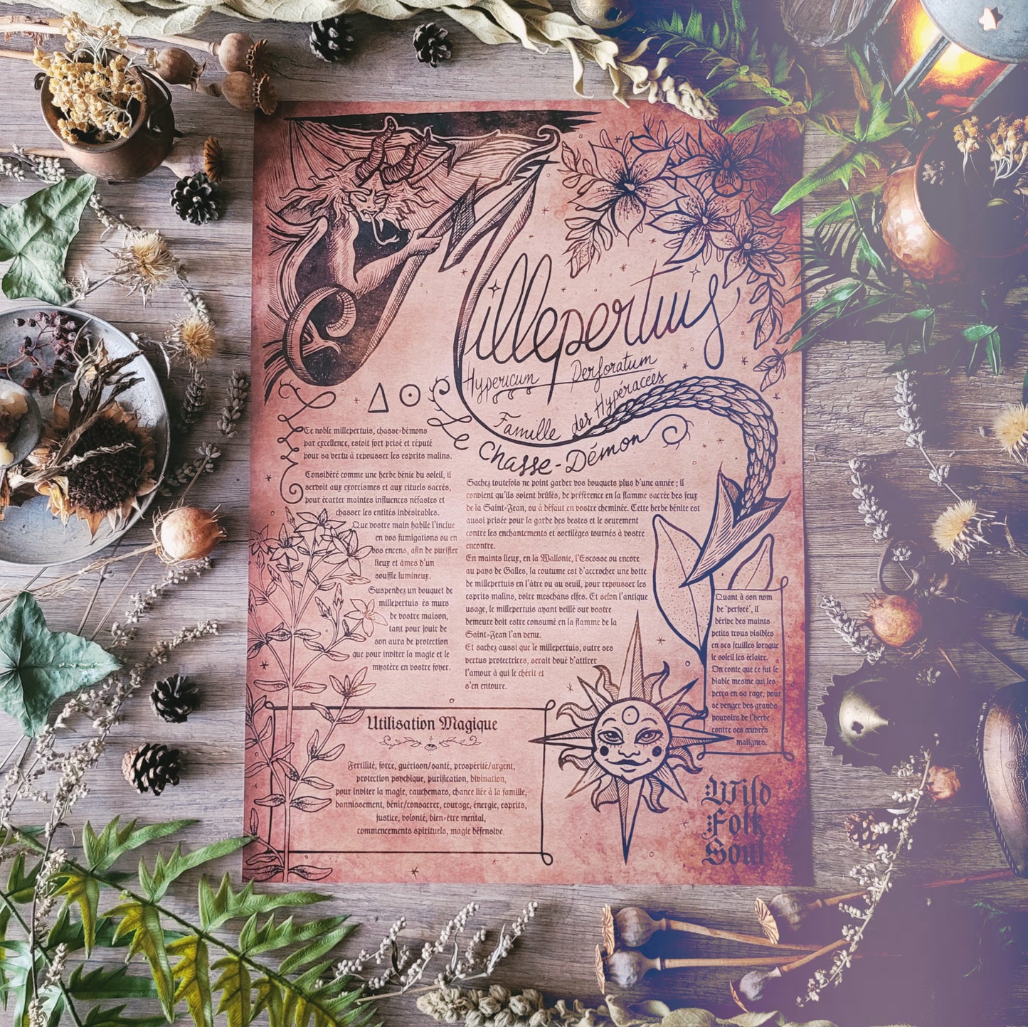 Box de Magie Botanique - La Box Rituel en Cuisine