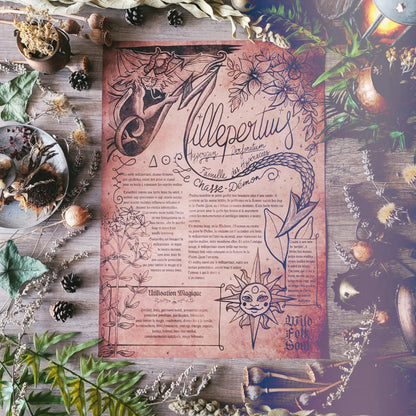 Mystery Box of Plant Magic