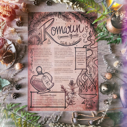 Mystery Box of Plant Magic