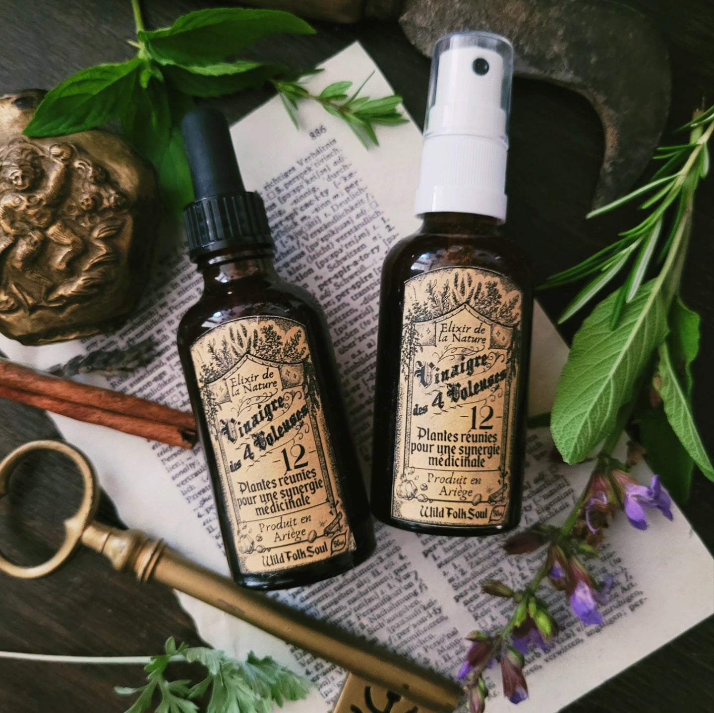 Vinaigre des 4 voleuses