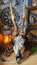 Charger l&#39;image dans la galerie, Crânes Sublimés Fylgja Antlers