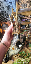 Charger l&#39;image dans la galerie, Crânes Sublimés Fylgja Antlers