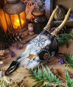Crânes Sublimés Fylgja Antlers