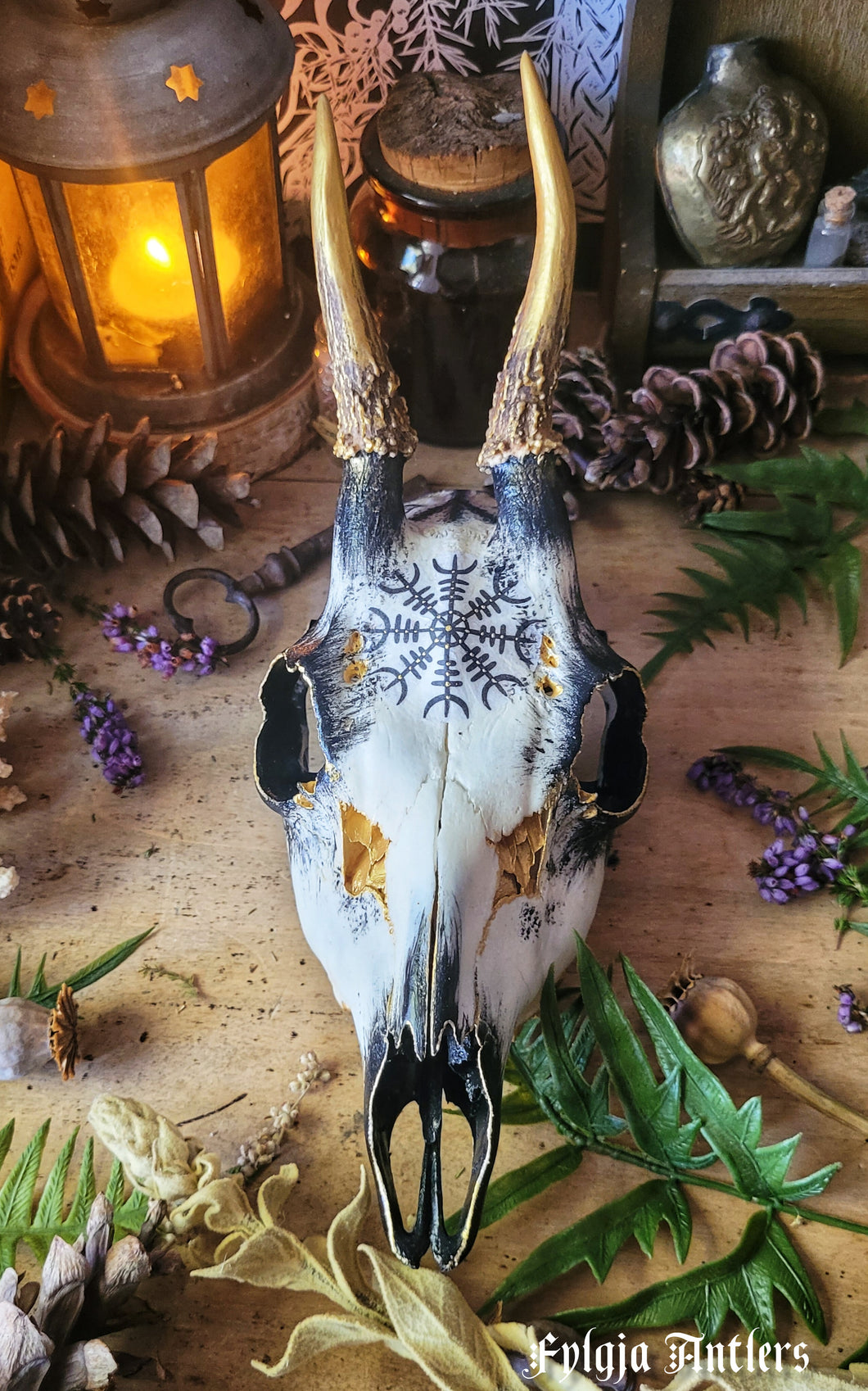 Crânes Sublimés Fylgja Antlers