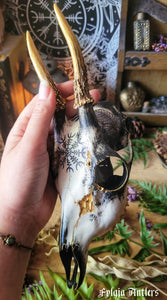 Crânes Sublimés Fylgja Antlers