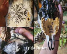 Charger l&#39;image dans la galerie, Crânes Sublimés Fylgja Antlers