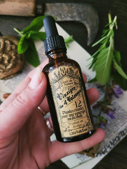 Vinegar of the 4 thieves