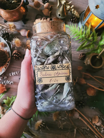 Mystery Box of Plant Magic