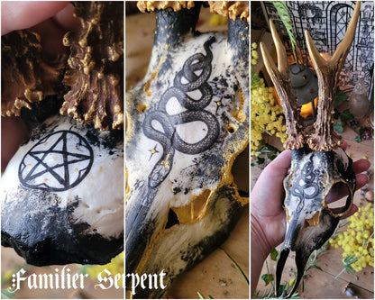 Sublimated Skulls Aegishjalmur - Home protection and magical ingredient...