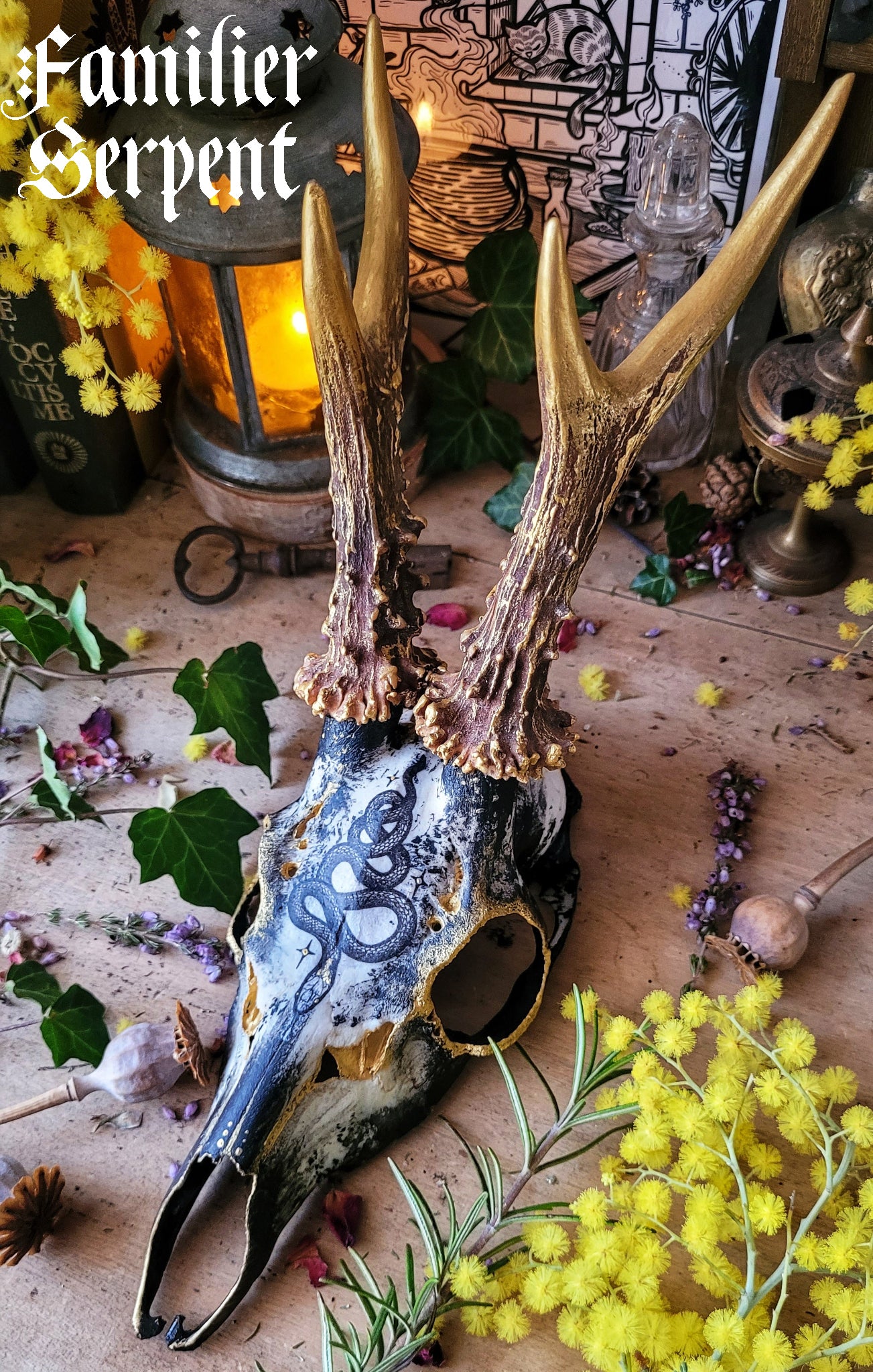 Sublimated Skulls Aegishjalmur - Home protection and magical ingredient...