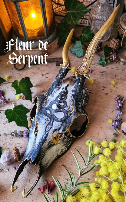 Sublimated Skulls Aegishjalmur - Home protection and magical ingredient...