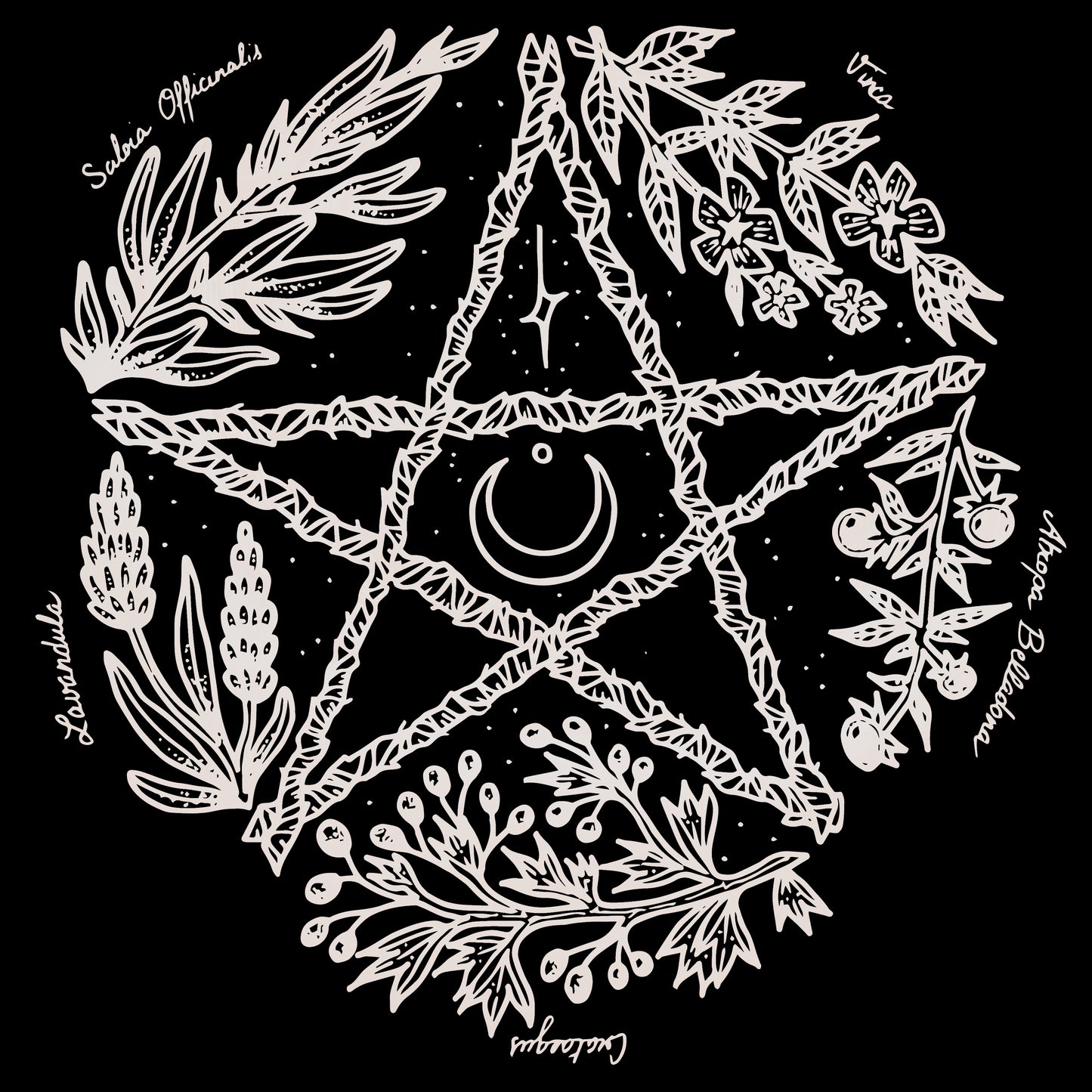 Herbal pentacle - Tee shirt unisexe (reste M et L)
