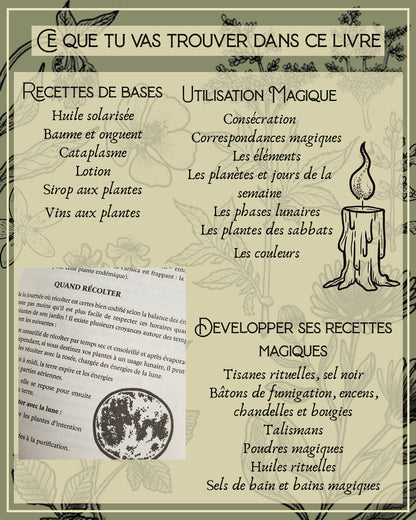 Guide précieux de Magie Botanique