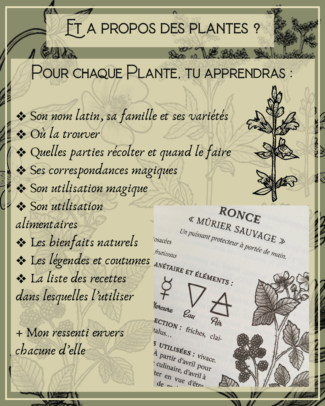 Guide précieux de Magie Botanique