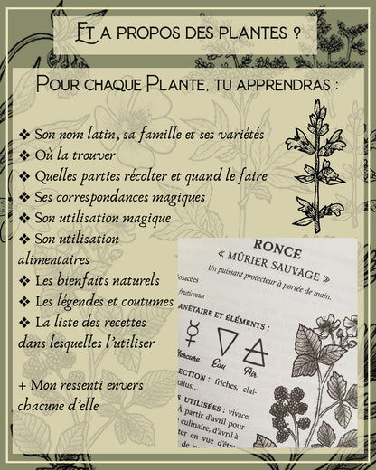 Guide précieux de Magie Botanique