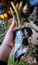 Load image into Gallery viewer, Sublimated Skulls Aegishjalmur - Home protection and magical ingredient...