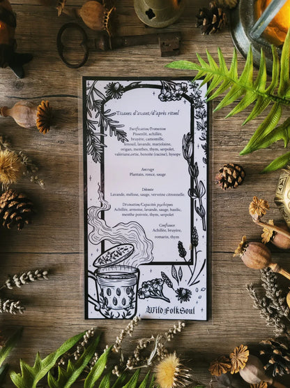 Mystery Box of Plant Magic