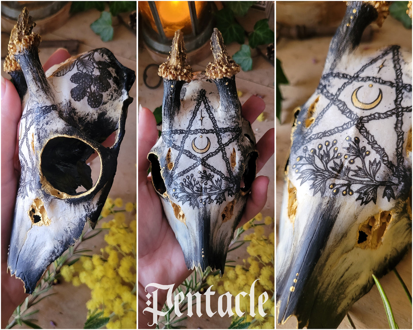 Sublimated Skulls Aegishjalmur - Home protection and magical ingredient...