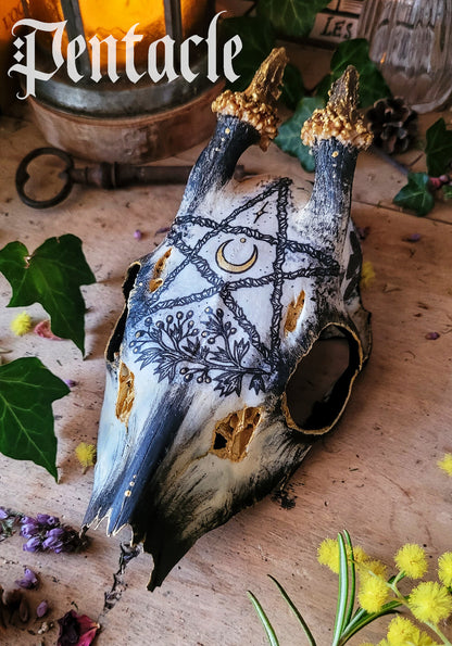 Sublimated Skulls Aegishjalmur - Home protection and magical ingredient...