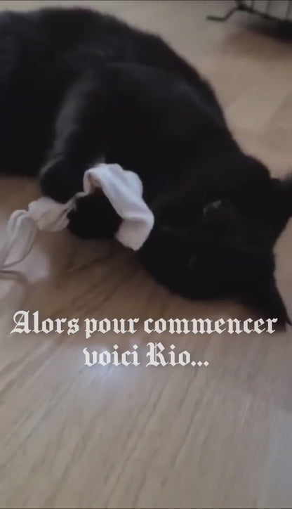 Feline-peaceful sachet with Valerian