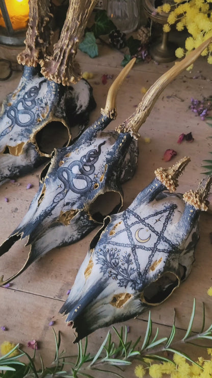 Sublimated Skulls Aegishjalmur - Home protection and magical ingredient...