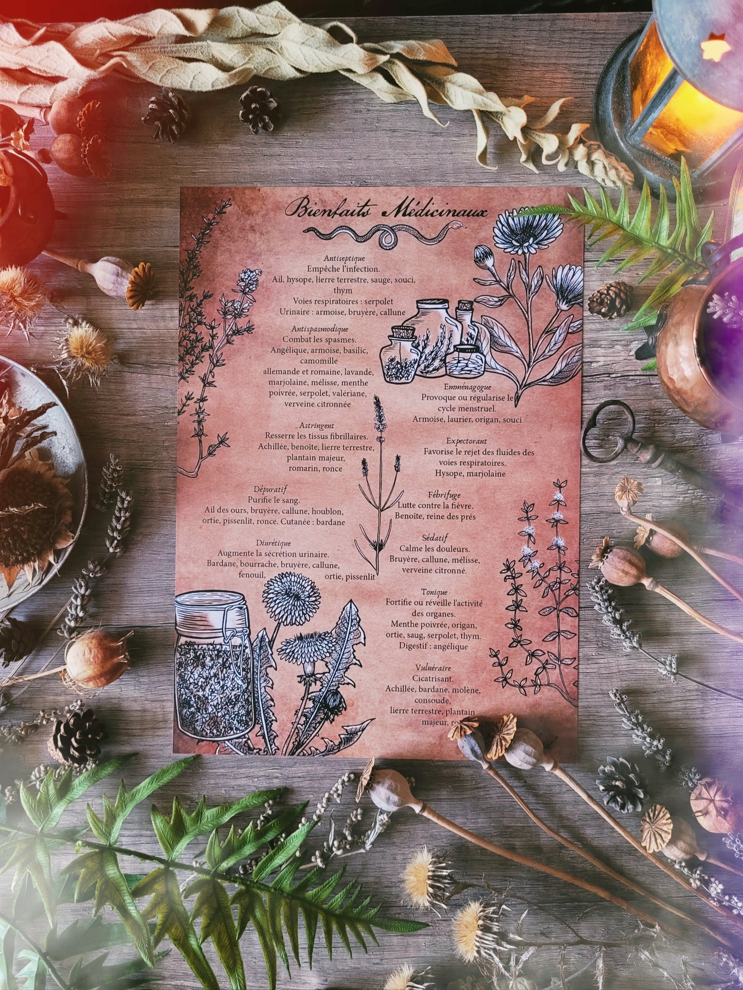 Box de Magie Botanique - La Box Médicinale