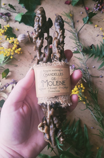 Chandelles de Molène