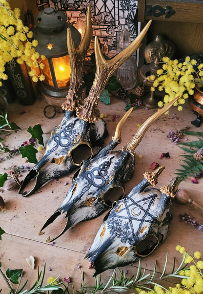 Sublimated Skulls Aegishjalmur - Home protection and magical ingredient...