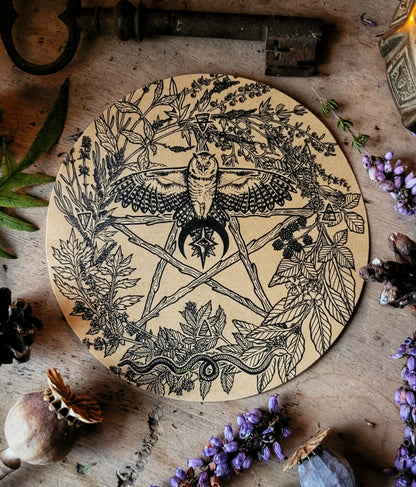 Autocollant Pentacle de l'Herboriste