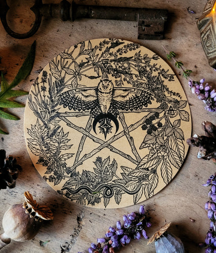 Autocollant Pentacle de l'Herboriste