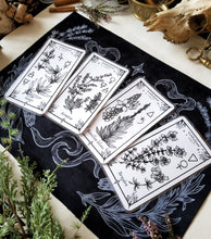 Load image into Gallery viewer, Bookmarks My Samhain Plants