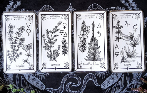 Bookmarks My Samhain Plants