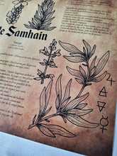 Charger l&#39;image dans la galerie, Affiche Mes Plantes de Samhain
