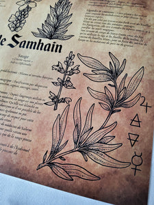 Poster My Samhain Plants