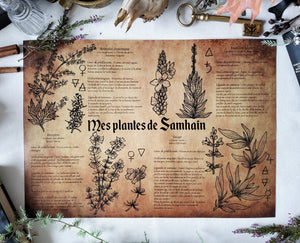Poster My Samhain Plants