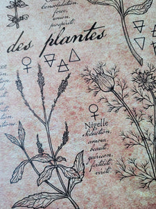 Plant Magic Poster