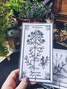 Box Mystère de la Magie des Plantes
